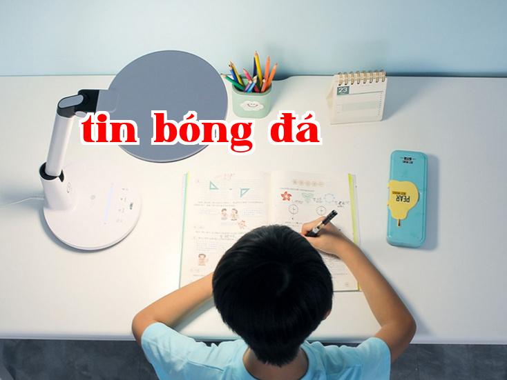 전문 모바일 조명 산업의 발전 추세