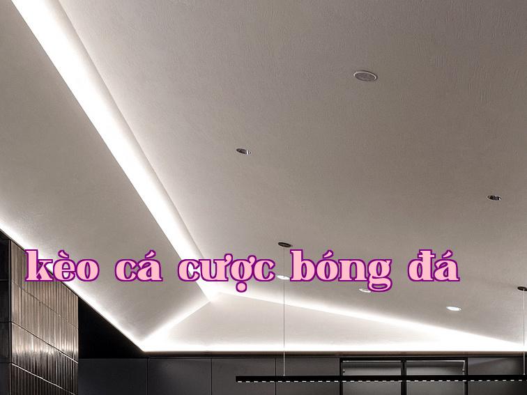 Máy gia công UV dùng cho đóng gói LED, đèn UV gia cố cho quá trình gắn chip và hàn dây: