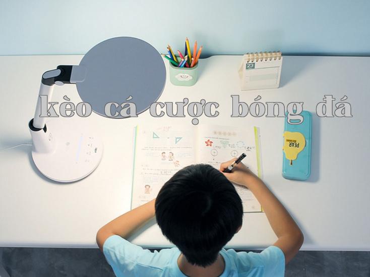 Xu hướng phát triển của ngành chiếu sáng di động chuyên nghiệp: