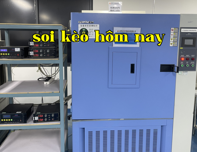 가속 노화 및 수명 시험기