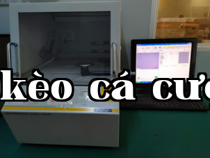 Film thickness tester
