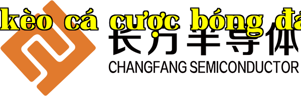 Công ty Công nghệ Bán dẫn Giang Tây Trường Phương