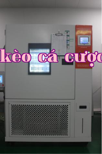 Constant temperature and humidity aging chamber