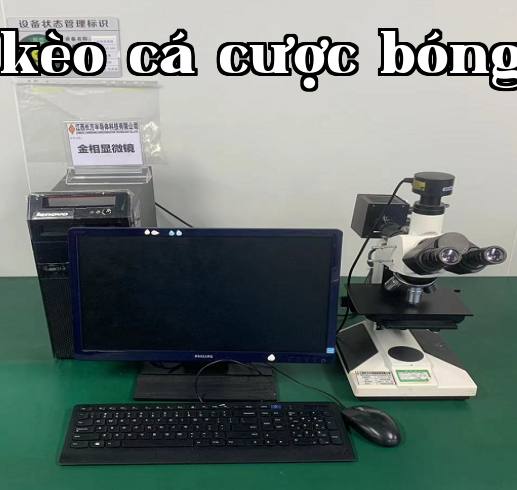 Metallographic microscope