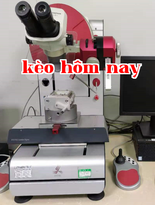 Automatic push and pull machine
