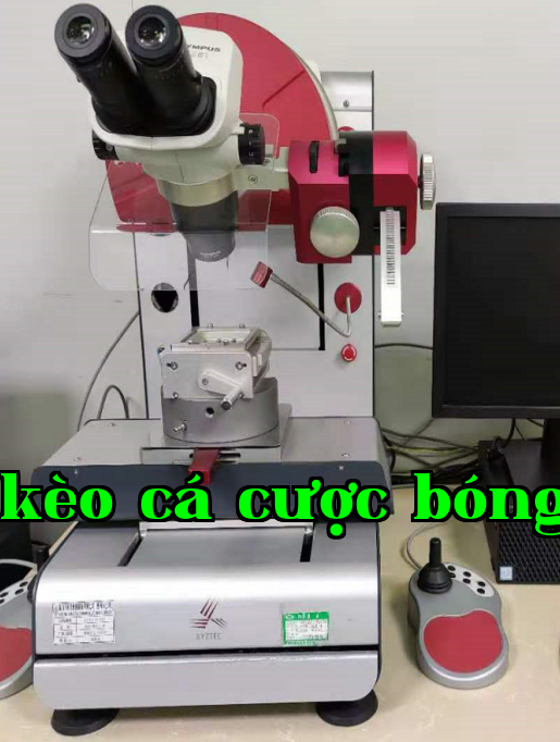 Máy thử độ kéo-push tự động